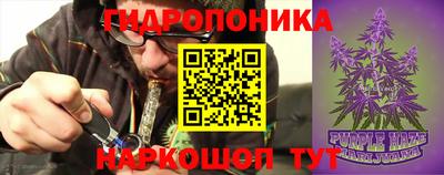 мдма Камышлов
